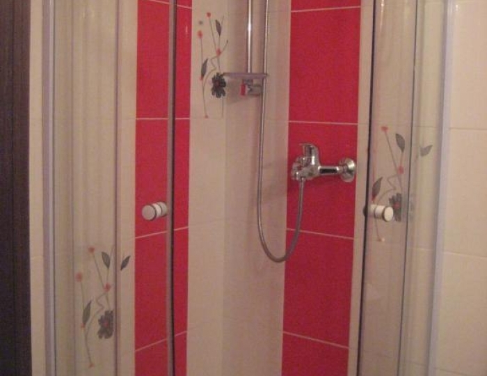 Номер 1 категории «Стандарт» Двухместный - Санаторий «Бобачевская роща» Тверь